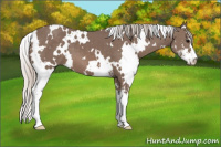 Horse Color:White Spotted Silver Black Sabino 