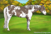 Horse Color:White Spotted Silver Black Sabino 