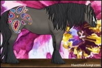 Horse Color:Grullo 
