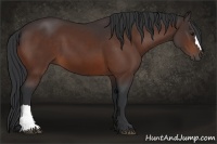 Horse Color:Brown 