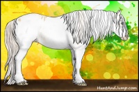 Horse Color:White Spotted Gold Cream Champagne Blanket 