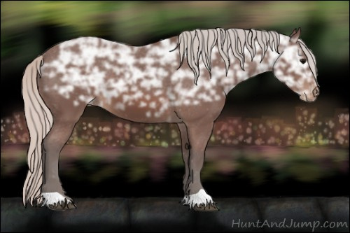 Horse Color: Silver Brown Ice Blanket 