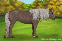 Horse Color:Silver Black 
