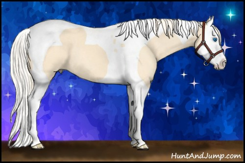 Horse Color: Palomino Dun Splash Tobiano 