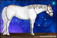 Horse Color:White Spotted Silver Bay Splash Frame 