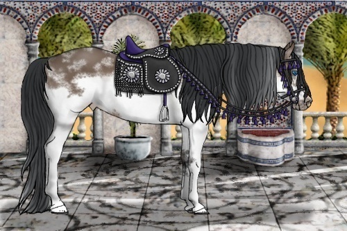 Horse Color: White Spotted Brown Dun Splash Frame 