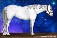 Horse Color:Bay Dun Splash Tobiano Frame 