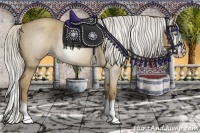 Horse Color:Gray Silver Classic Cream Champagne Roan Splash 
