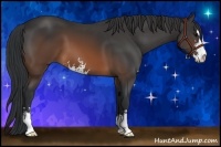 Horse Color:Brown Sabino 
