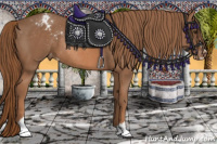 Horse Color:Liver Chestnut Sabino Blanket Rabicano 