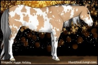 Horse Color:White Spotted Bay Dun Sabino 