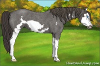 Horse Color:Smoky Blue Roan Splash Frame 