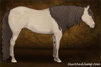 Horse Color:Classic Champagne Dun 