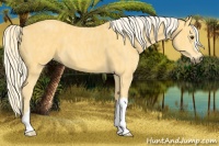 Horse Color:Palomino Brindle