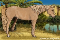 Horse Color:Chestnut  Brindle