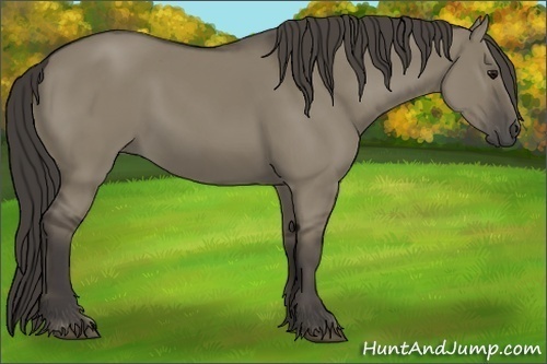 Horse Color: Smoky Grullo 