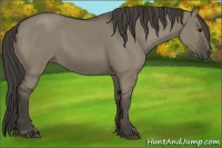 Horse Color:Smoky Grullo 