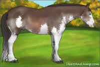 Horse Color:Brown Splash