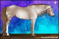 Horse Color:Gray Chestnut Ice 