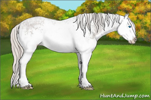 Horse Color: White Spotted Silver Black Ice Splash 