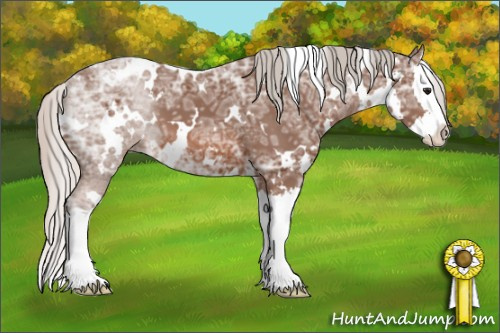Horse Color: White Spotted Silver Bay Ice Splash 