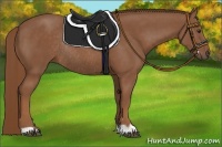 Horse Color:Chestnut Rabicano 