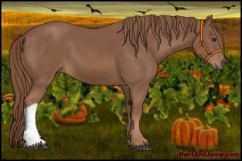 Horse Color: Chestnut 