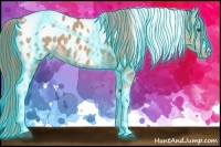 Horse Color:Thunderstruck Red Dun Tobiano Near Leopard 