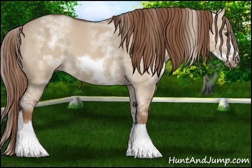 Horse Color: White Spotted Red Dun Frame 