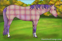Horse Color:Watercolor Plaid  Bay Sabino 