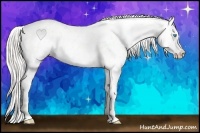 Horse Color:Cremello Near Leopard 