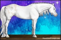 Horse Color:Cremello Varnish 