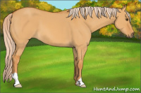 Horse Color:Palomino Dun 