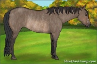 Horse Color:Brown Dun Rabicano  Brindle