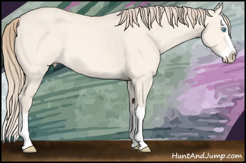 Horse Color: Perlino Dun Splash 