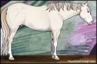 Horse Color:Perlino Dun Splash