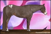 Horse Color:Liver Chestnut Sabino Blanket Rabicano 