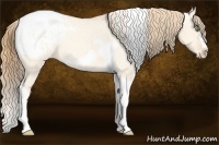 Horse Color:Gold Champagne Roan Dun Splash Tobiano Frame Appaloosa Rabicano 