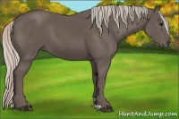 Horse Color:Silver Black 