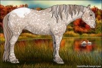 Horse Color:Black Pearl Snowflake Varnish