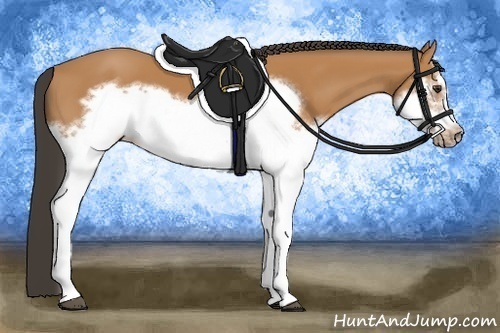 Horse Color:Bay Splash Frame