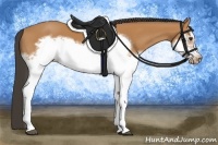 Horse Color:Bay Splash Frame 