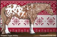 Horse Color:Liver Chestnut Appaloosa 