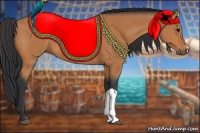 Horse Color:Bay Rabicano 