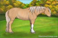 Horse Color:Chocolate Palomino Mushroom Rabicano 