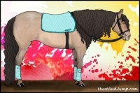 Horse Color:Amber Champagne Roan 