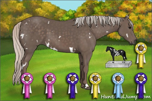 Horse Color: Unknown 