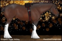 Horse Color:Bay Tobiano 