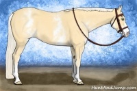 Horse Color:White Spotted Gold Cream Champagne 