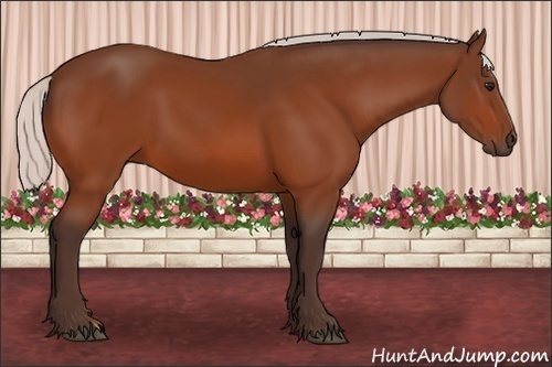 Horse Color:Silver Bay